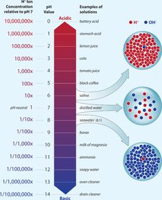 an info poster with different types of liquids