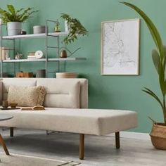 a living room filled with furniture and potted plants on top of it's shelves