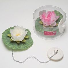 a white and pink flower sitting on top of a green leaf next to a metal chain