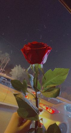 a person holding a red rose in front of a car with the sun shining on it