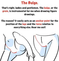 a drawing of the butts and legs of a woman with text that reads, the bulge