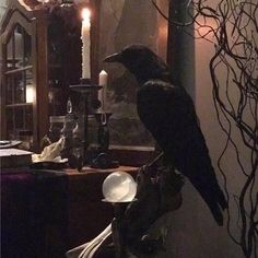 a black bird sitting on top of a wooden table next to a mirror and candles