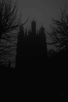 the silhouettes of trees and buildings against a dark sky