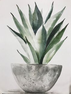 a painting of a potted plant with green leaves in it on a white background