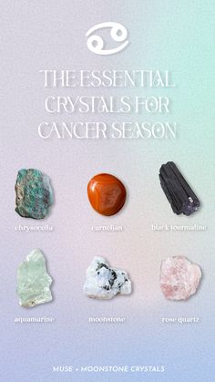 Embrace the energy of Cancer and let these crystals guide you on a transformative journey of emotional depth, intuition, and self-nurturing. Chrysocolla, Carnelian, Black Tourmaline, Aquamarine, Moonstone and Rose Quartz Power Of Crystals, Emotional Depth, Positive Traits, Spirit Soul, Water Signs, Moonstone Crystal, Black Tourmaline