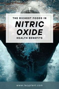 Nitric oxide-rich foods, such as beets, lettuce, arugula, spinach, and celery, can substantially enhance athletic performance by increasing oxygen supply and blood flow to the muscles. Additionally, a healthy diet that is high in nitrates can improve cardiovascular health and offer numerous other health benefits. Nitrate Rich Foods, Foods High In Nitric Oxide, Nitric Oxide Food, Nitric Oxide Benefits, Athlete Food, Athletes Diet, Homemade Mouthwash, Blood Pressure Food