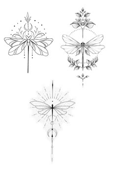 four different types of dragonflies in black and white, each with an intricate design