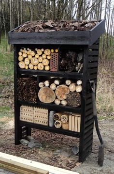 an outdoor firewood storage unit with logs and other things in the woods behind it