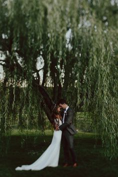 a bride and groom kissing under a willow tree