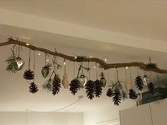 pine cones are hanging from a tree branch with lights on the top and below them