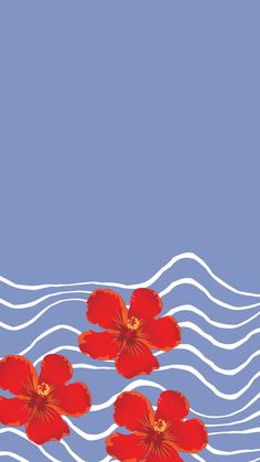 summer tropical wallpaper Red Summer Wallpaper, Tropical Summer Wallpaper, Hibiscus Illustration, Next Wallpaper, Tropical Illustration, Spirituality Affirmations, Pantone Colour Palettes, Tropical Background, Hawaiian Art