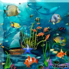 an underwater scene with fish, plants and other things on the bottom half of the image