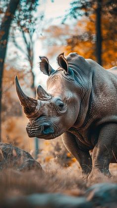 a rhinoceros standing on top of a pile of dirt in front of trees