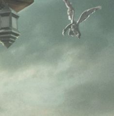 two seagulls flying in the sky above a clock tower