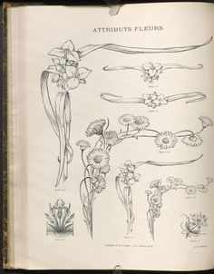 an old book with flowers and plants on it