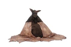 a stuffed animal sitting on top of a cloth covered floor mat in front of a white background