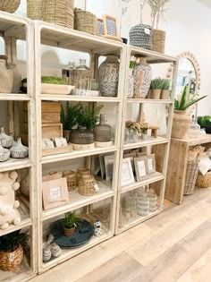 a room filled with lots of different types of vases and plants on wooden shelves