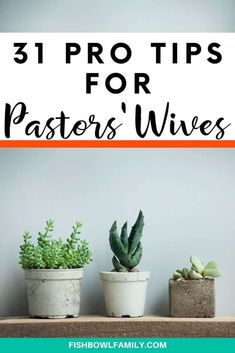 three potted plants with the words 31 pro tips for pastor's wives