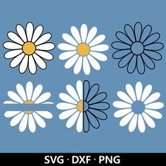 four daisies with yellow centers and white petals on a blue background, in different sizes