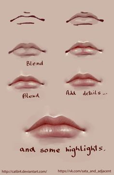 different types of lips with the words blend and some highlights