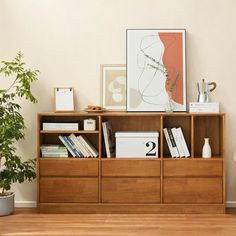 a living room with a bookcase, plant and pictures on the wall