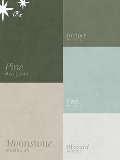 The perfect light & airy, snowy forest, winter blues and greens color palette for all of your holiday designs.   Pine #4F5845 Moonstone #9B9384 Juniper #6F7562 Frost #B1C6Bf Blizzard #E2E2DE Juniper Paint Color, Green Winter Color Palette, Winter Pantone Palette, Teal Neutral Color Palette, Blue Sage Color Palette, January Colors Palette, Winter Aesthetic Color Palette, Sage Green Christmas Aesthetic, Winter Color Palette Aesthetic