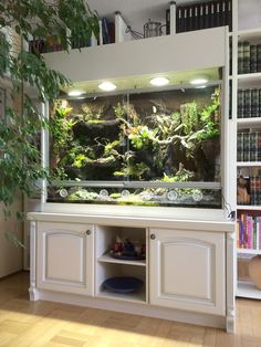 a fish tank sitting on top of a wooden floor next to a bookshelf