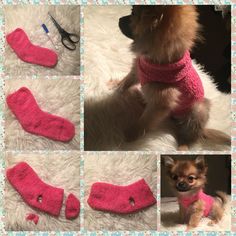 a collage of photos showing the process of making socks for a dog that is wearing a sweater