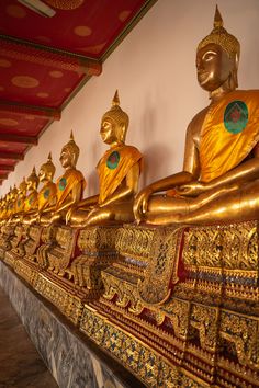 golden buddha statues lined up in a row