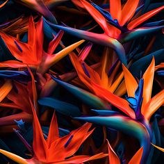 many colorful birds of paradise flowers are in the air with blue and orange leaves on them