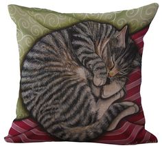 a cat sleeping on top of a red and green pillow with swirls around it