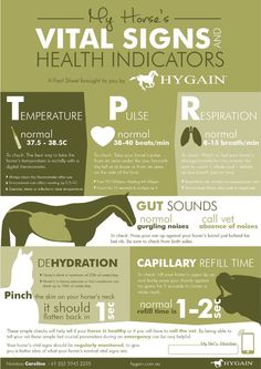 the health benefits of horses are shown in this poster