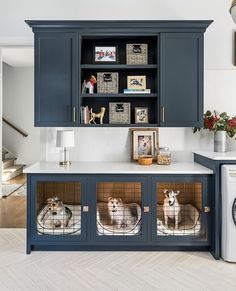 two dogs sitting in their kennels on top of the kitchen counter next to a washer and dryer