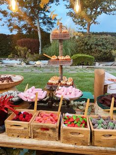 an assortment of desserts and pastries are on display at a picnic table in the park