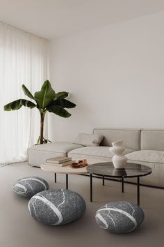 a living room filled with furniture and a potted plant on top of a table