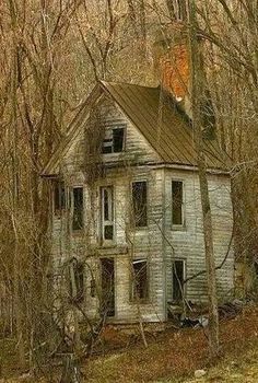 an old run down house in the woods