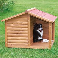 a dog is sitting in a wooden dog house