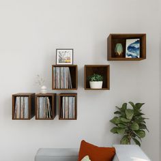 there are four shelves on the wall that have various records and cds in them, along with a potted plant