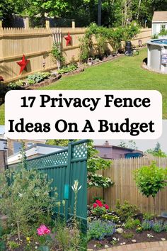 privacy fence ideas on a budget