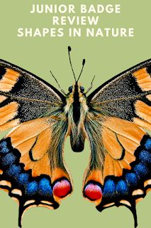 an orange and blue butterfly with the words junior badge review shapes in nature on it