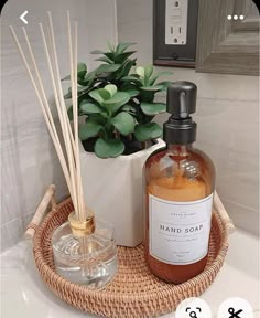 a bottle of hand soap next to a glass container with reeds and a potted plant