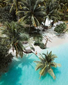 an aerial view of a beach with palm trees and people in the water on a hammock