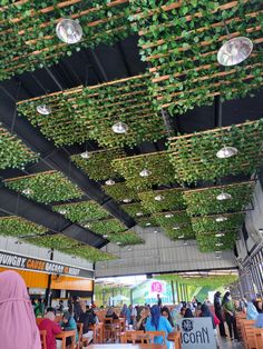 people are sitting at tables with plants hanging from the ceiling