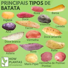 Batata, variedades de batata, tipos de batata, batata doce, batata inglesa, batata asterix Alkaline Foods List, List Of Spices, Health Facts Food, Lemon Detox, Alkaline Foods, Home Vegetable Garden, Food Decoration, Food Lists, Health Diet