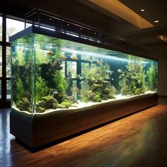 an aquarium with many different types of fish in it