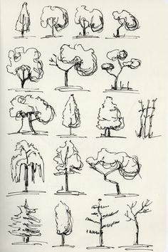 Sketches of 15 different tree styles demonstrating various techniques and approaches to tree drawing. Bush Drawing Tutorial, Tree Doodle Drawing, 2d Tree Design, Starting To Draw, Learn How To Sketch, Trees Drawing Reference, Tips For Sketching, Simple Tree Sketch, Simple Urban Sketching