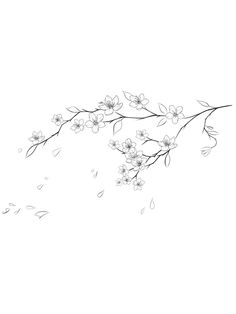 an ink drawing of flowers on a branch with drops of water coming from the petals