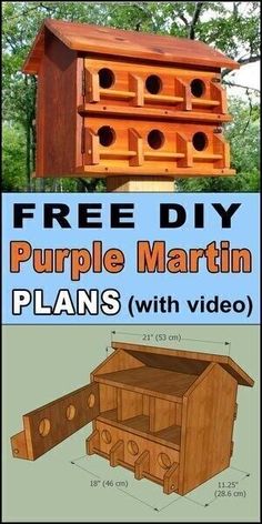 the plans for a purple martin bird house