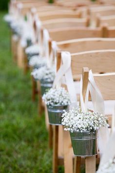 rows of wooden chairs with white flowers in buckets on the back, tied to them