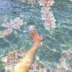 a person's hand reaching into the water with flowers floating on it and in the background